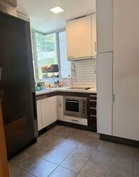 The Levelz (D10), Condominium #574632221